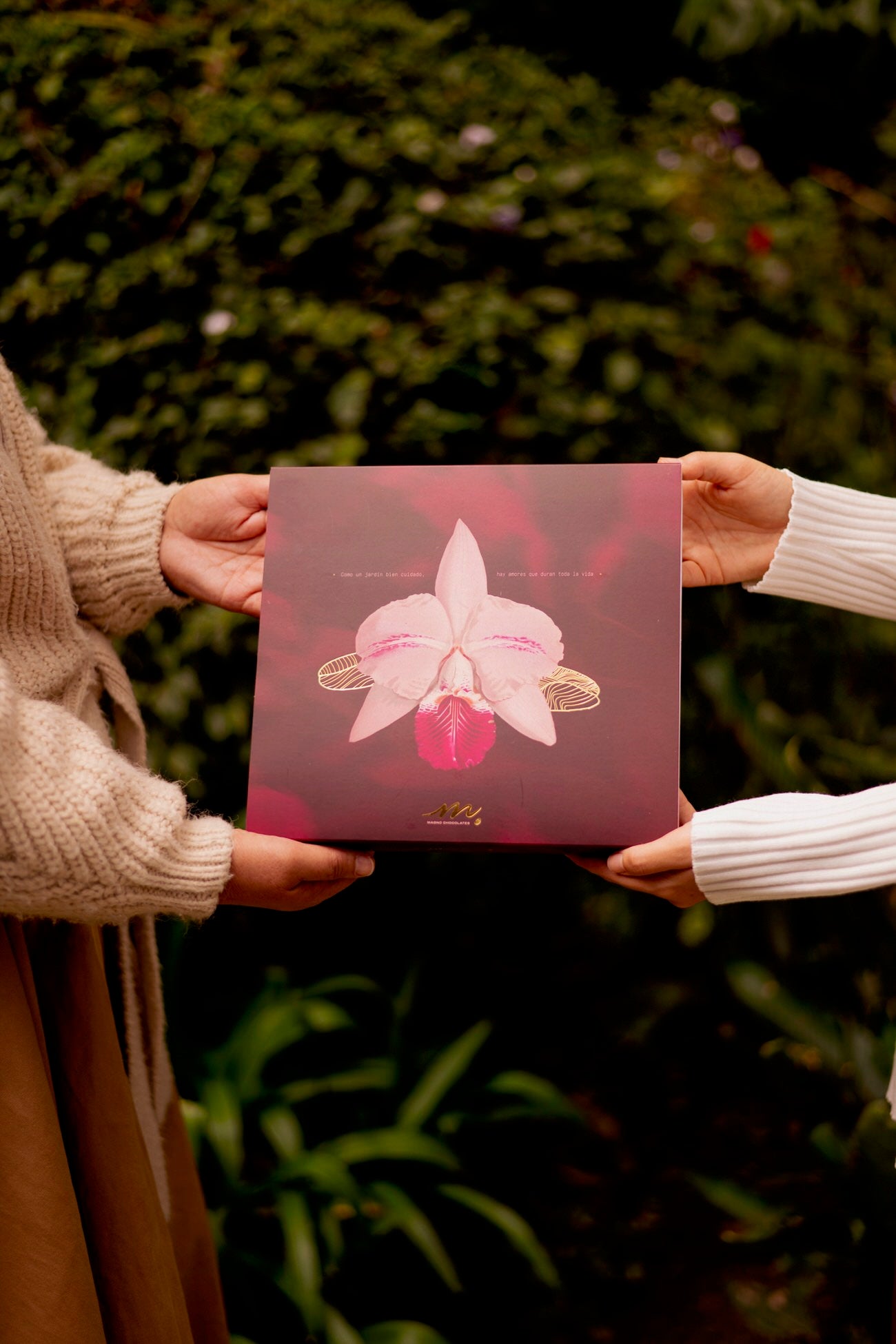 Jardín x15 - chocolates de autor