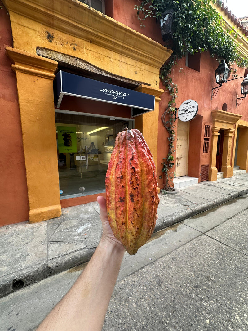 Tienda Magno Chocolates Cartagena